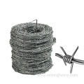 Galvanized Barbed Wire Coil For Sale